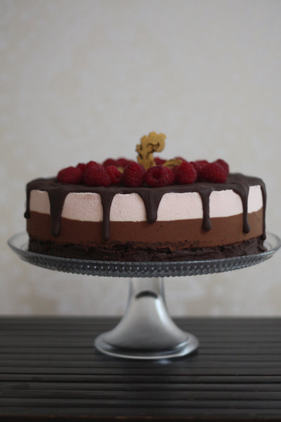 Šokoladinis putėsių tortas